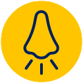 NASAL CONGESTION