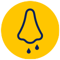 Runny/itchy nose icon