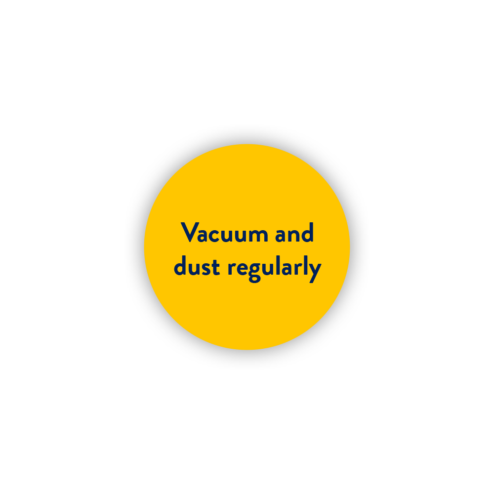 Vacuum and dust regularly